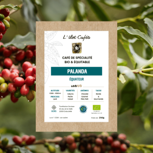L'Ilot Cafés Equateur Palanda bio équitable haut de gamme Lectoure L'Isle Jourdain Auch