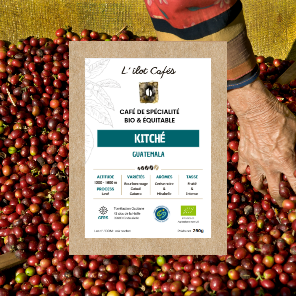 L'Ilot Cafés Guatemala Kitché café de spécialité torréfié dans le Gers