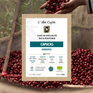 L'Ilot Cafés Honduras bio équitable coopérative amérique latine spécialité