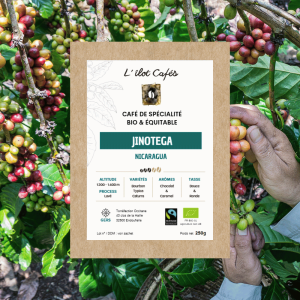 L'Ilot Cafés Nicaragua Jinotega bio éthique torréfié dans le Gers