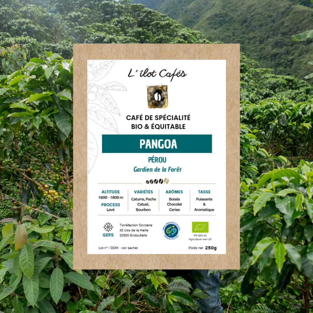 L'Ilot Cafés Pérou Pangoa bio équitable café de forêt Café de forêt bio équitable Pérou, torréfaction artisanale Gers occitanie