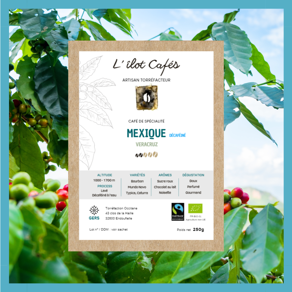 Mexique Veracruz Décaféiné à l'eau L'îlot Cafés Torréfaction Occitane Gers biologique équitable Mexique Veracruz Décaféiné à l'eau L'îlot Cafés Torréfaction Occitane Gers biologique équitable